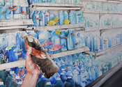 Artwork depicting ocean scenes within plastic bottles, with one full of dark and polluted water.