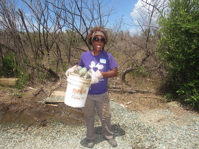 Great Mangrove Cleanup