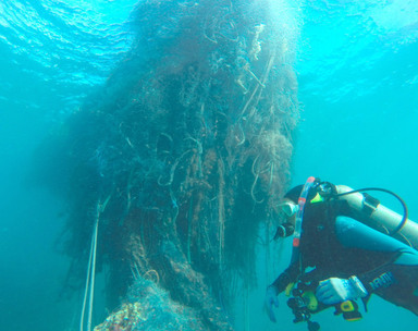 A giant net lurks behind a diver. 