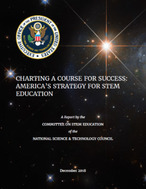 STEM Report