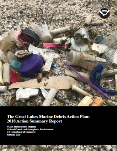 Great Lakes Land-based Marine Debris Action Plan 2018 Action Summary Report