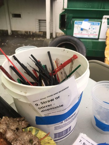 Straws and stirrers collected at a cleanup. 