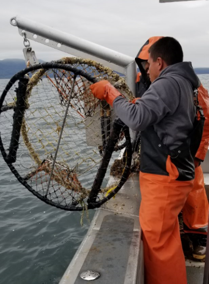 Derelict crab pot removal Makah Tribe