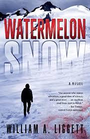 book cover for water melon ice