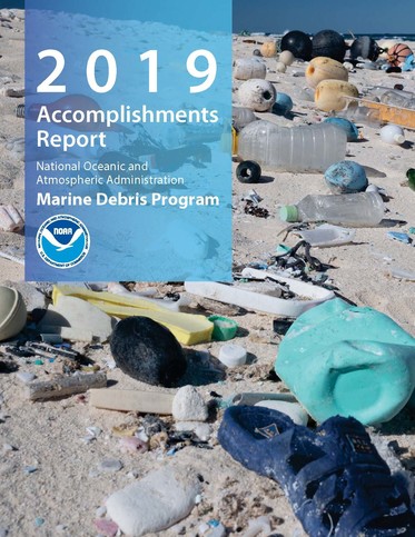 Cover of the 2019 Accomplishments Report.