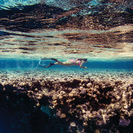 CORAL IN WATER WITH SWIMMER