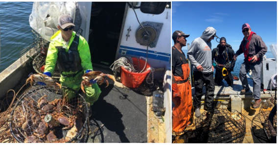 Removal team members and a removed derelict crab pot. 