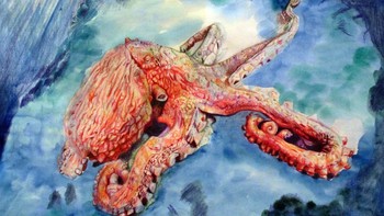 Artwork of an octopus. 