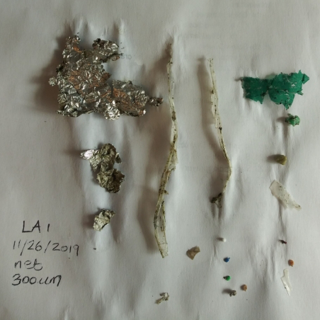 Microplastics sampled from the Los Angeles River