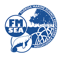 FMSEA logo
