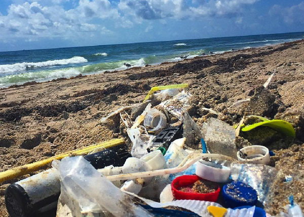 Plastic marine debris on a beach