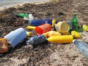 Plastic marine debris on Elliot Key, Florida
