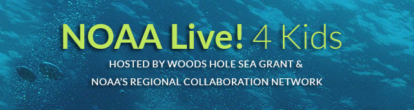 NOAA Live! logo