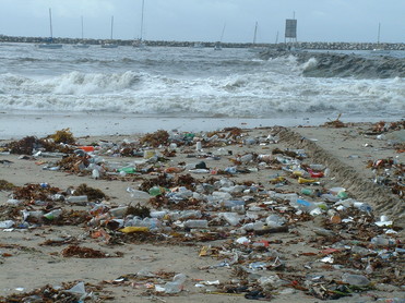 Trash on a beach after a storm