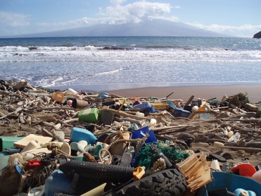Human-made and natural debris piled up on a beach in Hawaii
