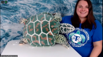 An educator conducts a virtual outreach program with a plush sea turtles.