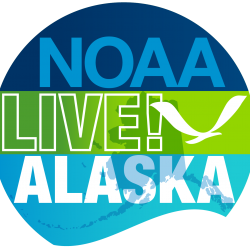NOAA Live! Alaska