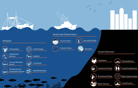 NAMES Indicators Infographic