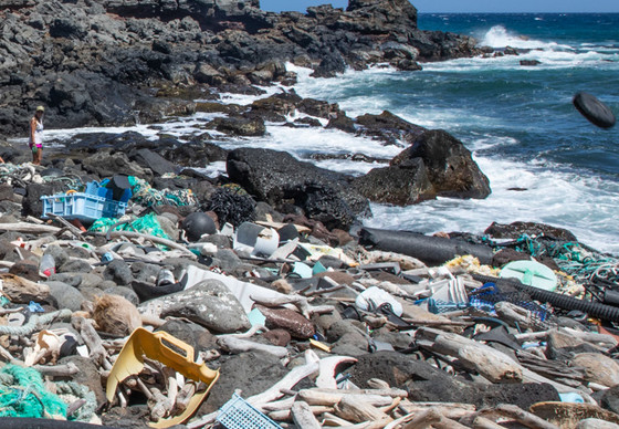 Marine debris along a Molokai shoreline.