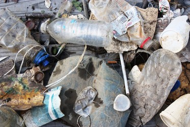 Plastic bottles, cigarette butts, fishing line, and other marine debris.