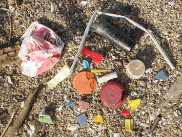 Bottle caps, straws, cigarette butts, and other debris removed from the shoreline of Lake Erie in Ohio.