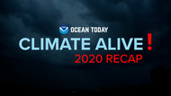 Climate Alive! 2020 Recap