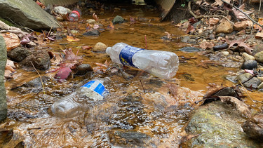 Plastic bottles in a shallow forest stream.