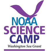 noaa science camp