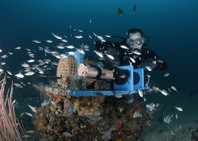 diver working on science equipment at Gray's Reef-Greg McFall/NOAA