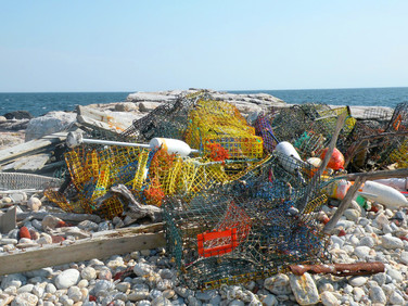 A pile of derelict fishing gear on a rocky shore, including wire traps and foam floats.