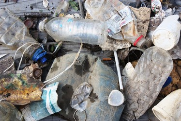 Assorted plastic marine debris.