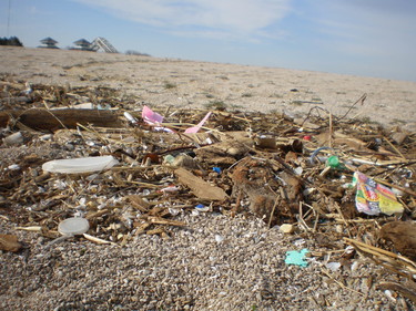 Food wrappers and other pieces of plastic on a beach.