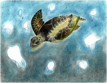 Artwork by Sophie W. (Grade 8, Michigan) featuring a sea turtle swimming through plastic bags. 
