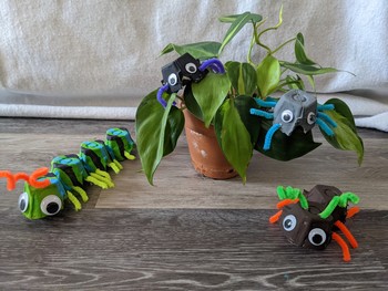 An assortment of bugs (ant, caterpillar, spiders) made of recycled egg cartons and pipe cleaners. 