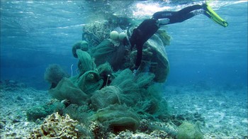 A diver pulls large nets away from a coral reef. 