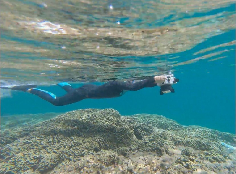 A diver photographing a coral reef in the water. 
