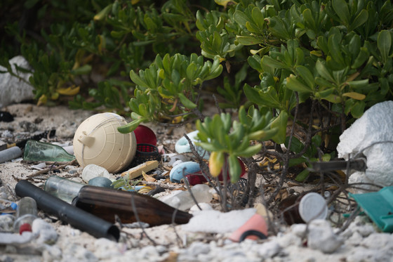 Glass bottles, plastic waste, and other debris litter a beach.
