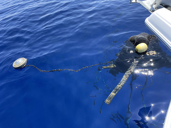  A fish aggregating device floating in the ocean.