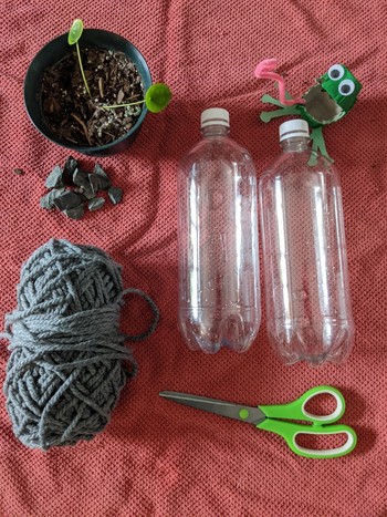 The supplies needed for the terrarium project: A plant, two bottles, scissors, yarn, and rocks (optional). 