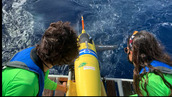 Satellites of the Sea