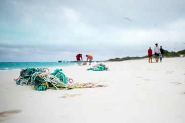 Fragments of a net on a beach with five people walking and carrying marine debris in the background.