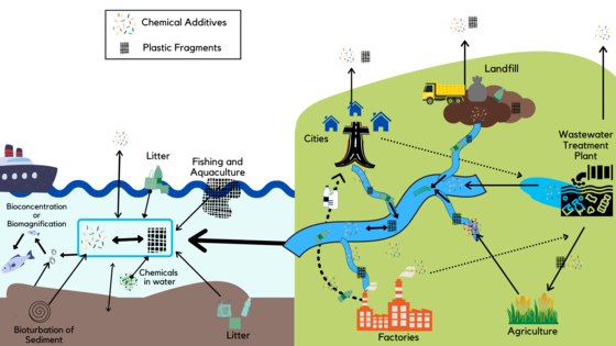 A figure showing the sources and transport pathways of plastic additive chemicals.