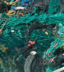 A mass of derelict nets in water.