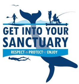 An illustration of a humpback whale, surfer, standup paddle boarder, scuba diver, fisher, and person in a wheelchair.
