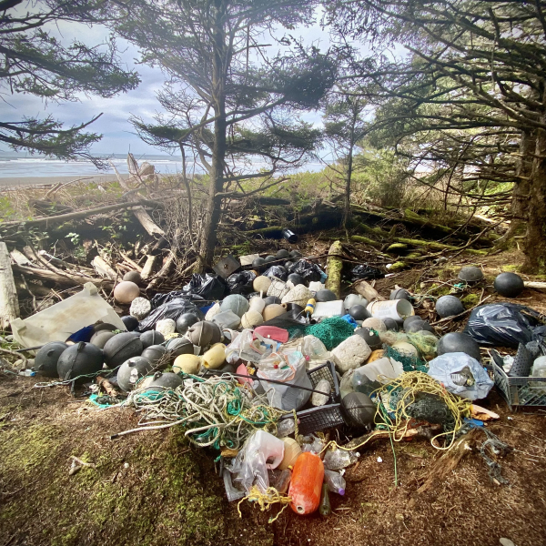 A remote coastal forest with a pile of collected marine debris.