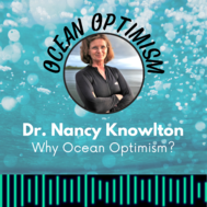 ocean Optimist