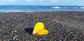 clean beach