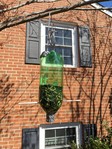 The final bird feeder hanging from a tree, half-full of bird seed. 