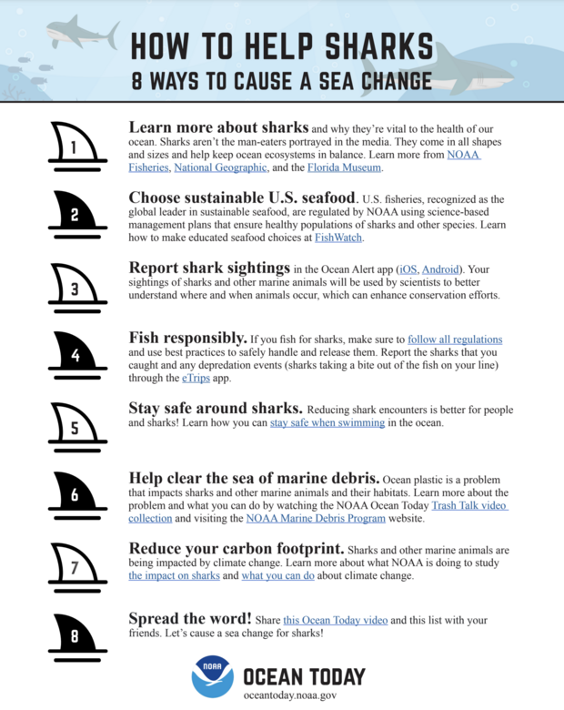 How to Help Sharks
