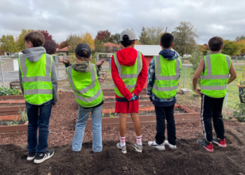Four students wearing "Green Team" vests look over a schoolyard garden.